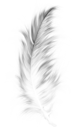 Abziehbild_170355791_23