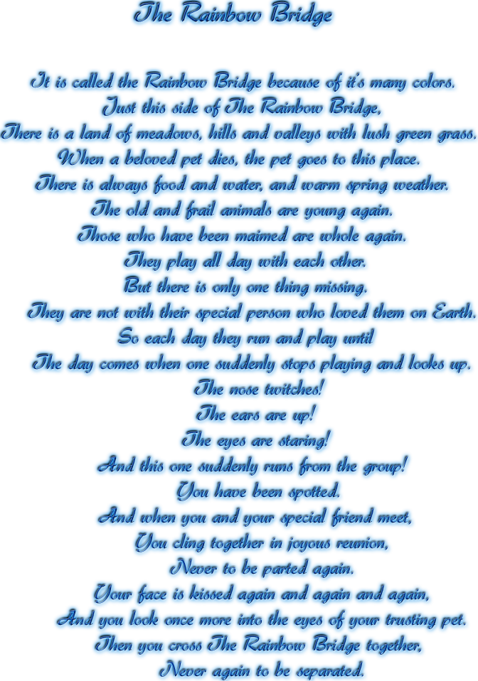 adesivo_33302180_46228212