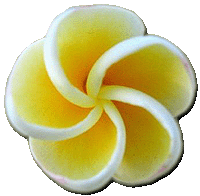 Abziehbild_7639530_11473451