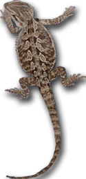 sticker_1375283_10342804