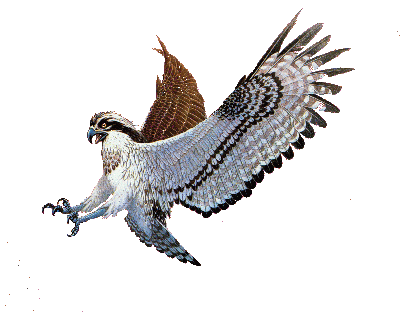 [stíc~kér_166777314_24]