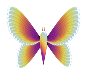 sticker_2322853_15817252