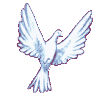 sticker_1481056_1732546