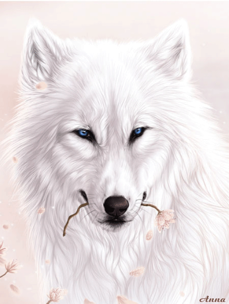 [stíc~kér_155613042_66]