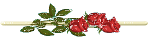 sticker_5054936_6294522