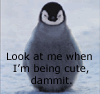 sticker_388501_3896260