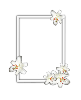 sticker_2994984_5021778