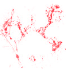 sticker_370585700_45