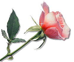 sticker_27973095_39732356