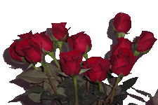 adesivo_1123024_1944646