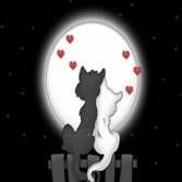 sticker_39363473_282