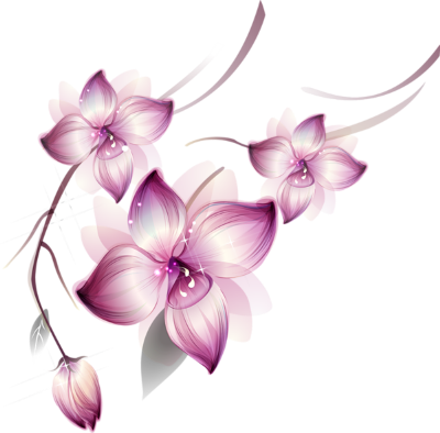 stiker_84843914_45