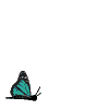 [stíc~kér_14243578_34733043]