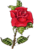 Etiqueta_577066_845283