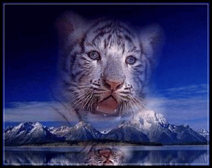 sticker_53105133_2