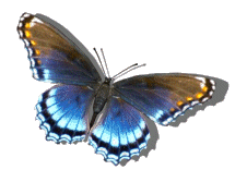 sticker_125909992_2