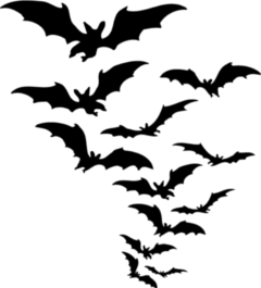 Klistremerker _299693398_14