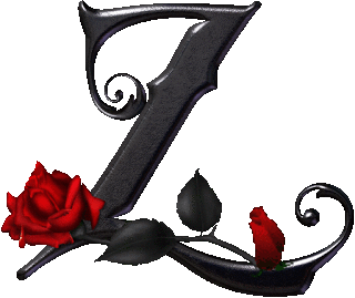 adesivo_89045175_8