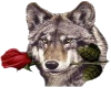sticker_378229388_15