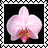 sticker_6317272_35026709