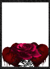 sticker_26009582_47077855