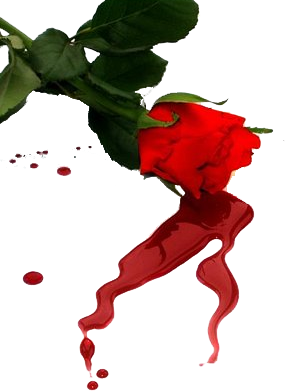 sticker_25260924_47499893