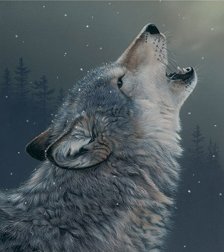 sticker_1523144_3570098