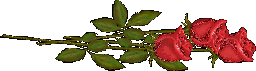 stiker_102212551_15