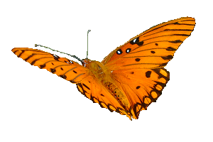 sticker_143950311_1332