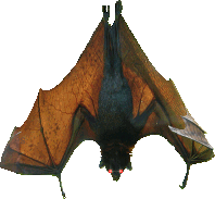 sticker_1522269_24237862