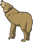 sticker_22457748_39917854