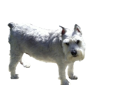 sticker_8616111_14580238