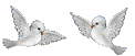 sticker_383362566_1