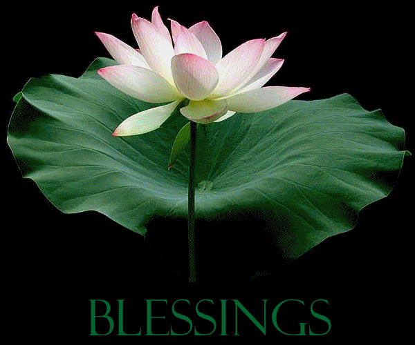 sticker_265588011_14