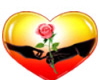 adesivo_22066346_44980498