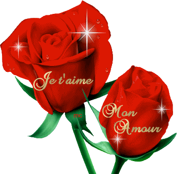 adesivo_338259323_9