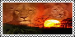 sticker_28697473_40921382