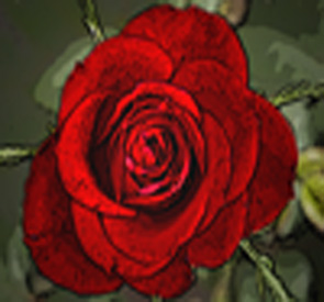 naklejka_16210909_22932228