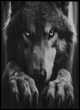sticker_210812529_14