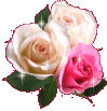 sticker_12996525_25046376