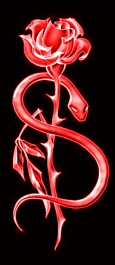 adesivo_30996107_45289100