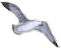 sticker_162958137_58