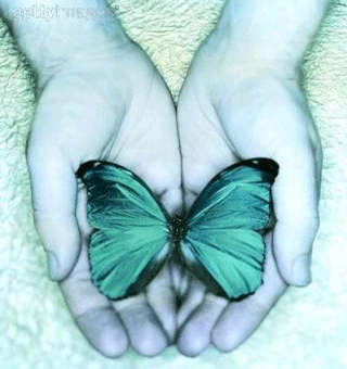 adesivo_18994500_47544594
