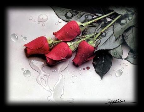 adesivo_8953492_12198374