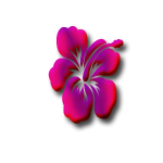adesivo_20477609_40135904