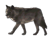 sticker_76481297_337