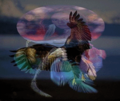 sticker_11322727_15755993