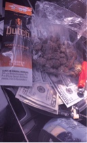Guest_Bein1760