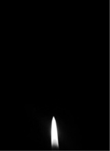 immagine avatar