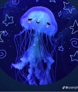 Guest_mae796243
